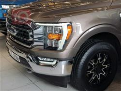 فۆرد F-150